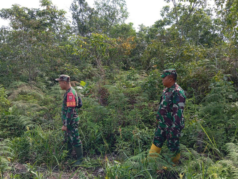 Untuk Mencegah Karhutla, Babinsa Mandau Peltu Sigit, Serma Suprapto, Praka Amser, di Desa Petani