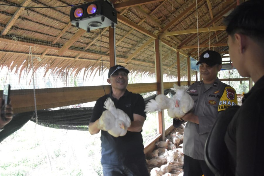 Tinjau Usaha Peternak Ayam Potong Desa Pangkalan Batang Barat, Ini Pesan Wabup Bengkalis
