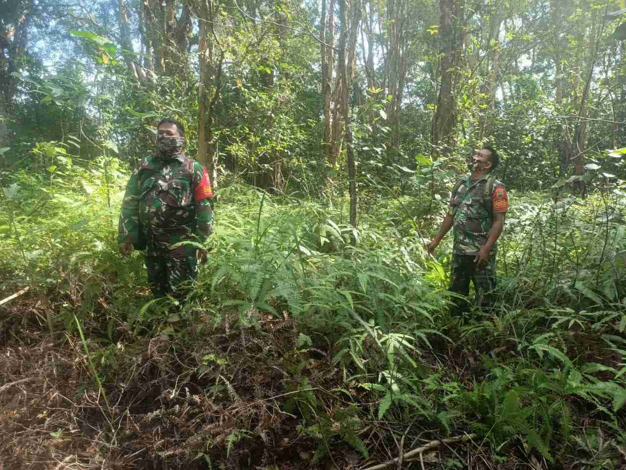 Serda S. Sijabat dan Praka Alif Alfindo Patroli Karhutla di wilayah Perbatasan