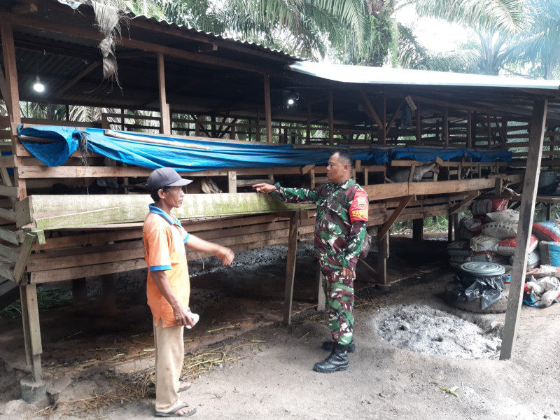Gencar Laksanakan Pengecekkan Hewan Ternak Kambing, di Desa Tengganau, Babinsa Serka N. Saragih Cek Lokasi