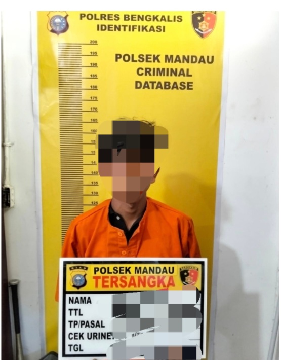 Diduga Lakukan Pengancaman Dengan Sajam, RA Warga Air Jamban Diamankan