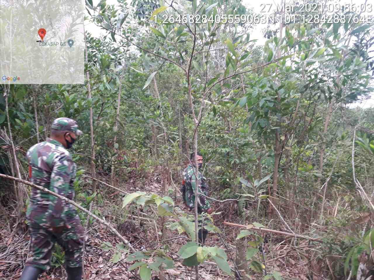 Serda P. Sinaga dan Serda Rosdianto Laksanakan Patroli Karhutla di Desa Petani