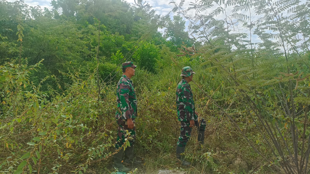 Cegah Karhutla, Babinsa Sertu Agung, Sertu Alinaspi dan Sertu Robbi di Desa Petani