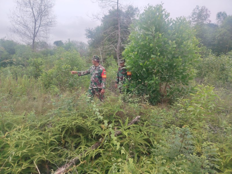 Babinsa Serka Agung, Serda Zulkarnain, Koptu Bambang Patroli Karhutla di Desa Petani, Batsol, Bengkalis