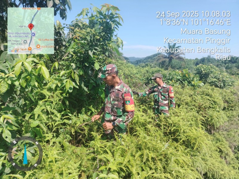 Babinsa Sertu Robbi, Koptu Bambang, Pratu Danil Simanungkalit Patroli Karhutla di Desa Muara Basung