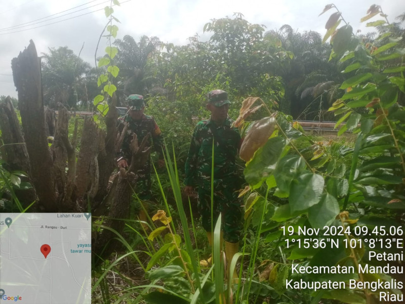 Babinsa Pelda Armen, Serka Fauzi dan Sertu Sutiman Berpatroli Karhutla di Desa Petani