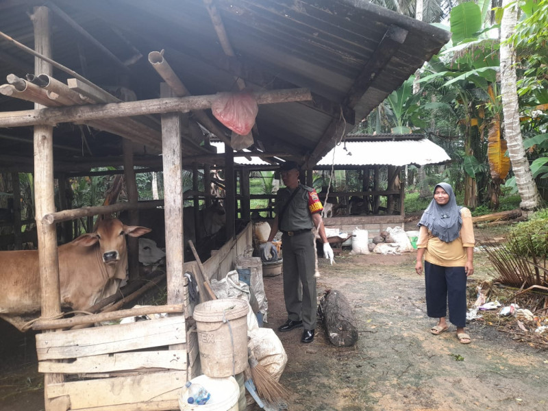 Babinsa Sertu SDG Barus Laksanakan Pengecekkan Hewan Ternak di Kelurahan Talang Mandi
