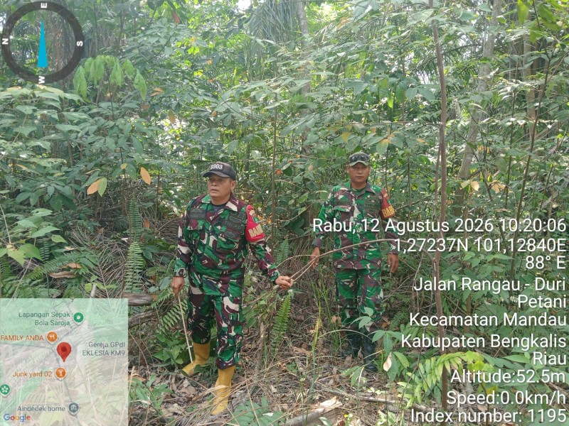 Babinsa Sertu Awaluddin, Serda Z. Panjaitan Patroli Karhutla di Jalan Rangau, Desa Petani
