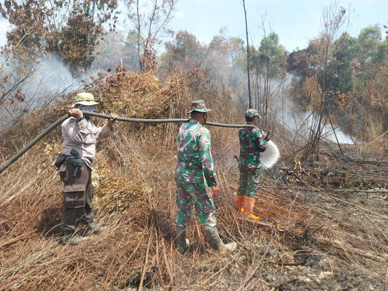 Upayakan Pemadaman dan Pendinginan, Babinsa Serda Ahmad Junaidi dan Praka Amser Manulang dan Tim Terjun ke Desa Tasik Tebing Serai