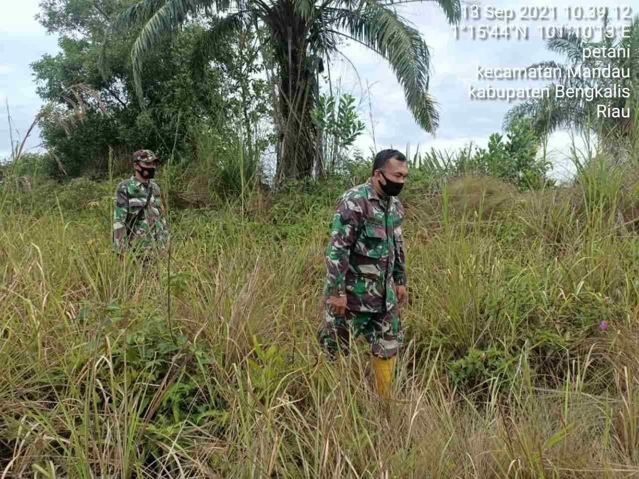 Sertu T. R. Lase Patroli Hotspot di Desa Buluh Manis Kecamatan Bathin Solapan