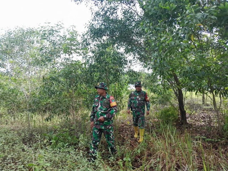 Babinsa Serma Fauzi, Sertu awaludin Patroli Karhutla di Desa Petani, Bathin Solapan