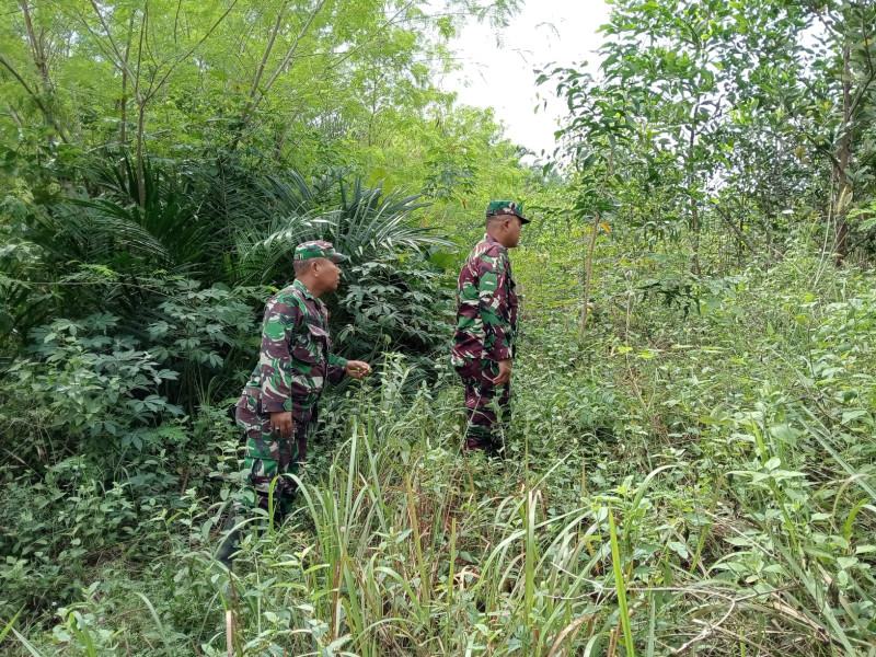 Upaya Cegah Karhutla, Babinsa Sertu P. Sinaga, Serda Z. Panjaitan dan Serda Junaidi di Jalan Sakura Petani, Bathin Solapan