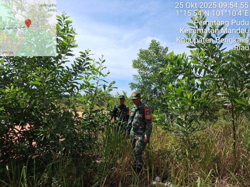 Babinsa Serka Sdg Barus, Sertu Joni R Patroli Karhutla di Kelurahan Pematang Pudu, Kecamatan Mandau Babinsa Serka Sdg Barus, Sertu Joni R Patroli Karhutla di Kelurahan Pematang Pudu, Kecamatan Mandau