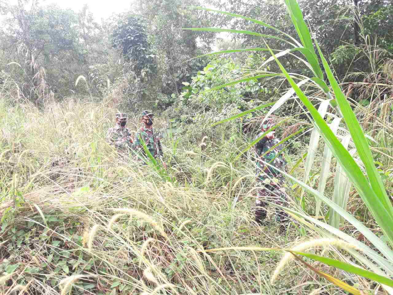 Serka Fauzi, Sertu Agung dan Koptu Heriyadi Patroli Karhutla di Buluh Manis