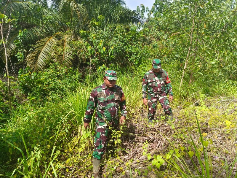 Babinsa Serka Roy P, Sertu Srikus handoko, Koptu Ade Patroli Karhutla di Pematang Pudu, Mandau