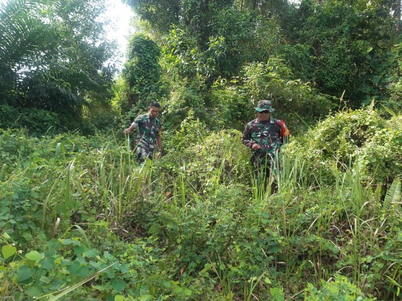 Babinsa Koramil 03/Mandau Serka N. Saragih dan Sertu Robby Gencar Laksanakan Patroli Karhutla di Batang Serosa