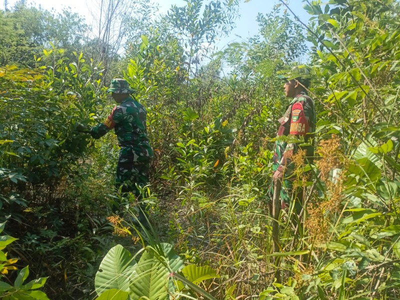 Babinsa Serka agung saputro, Serda joni, Kopda yusup Patroli Karhutla di jalan Rangau, Desa Petani