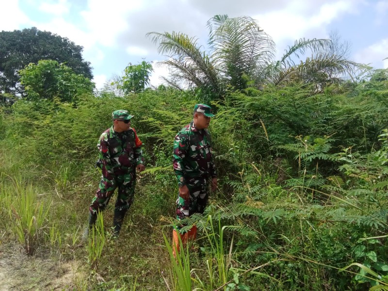 Babinsa Koptu M.Khan, Kopda A.Kurniawan Berpatroli Karhutla di Bekasap Bangko, Batsol, Bengkalis