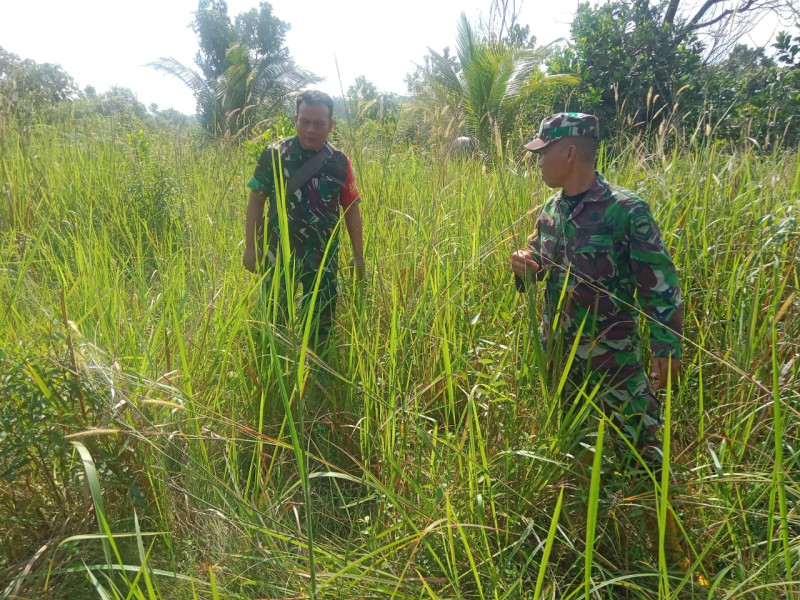 Upaya Cegah Karhutla, Babinsa Sertu Fikri dan Serda AT. Silaban di Kelurahan Pematang Pudu