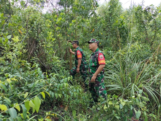 Babinsa Koramil 03/Mandau Sertu Junaidi dan Serda AT. Silaban Laksanakan Patroli Karhutla di Batang Serosa