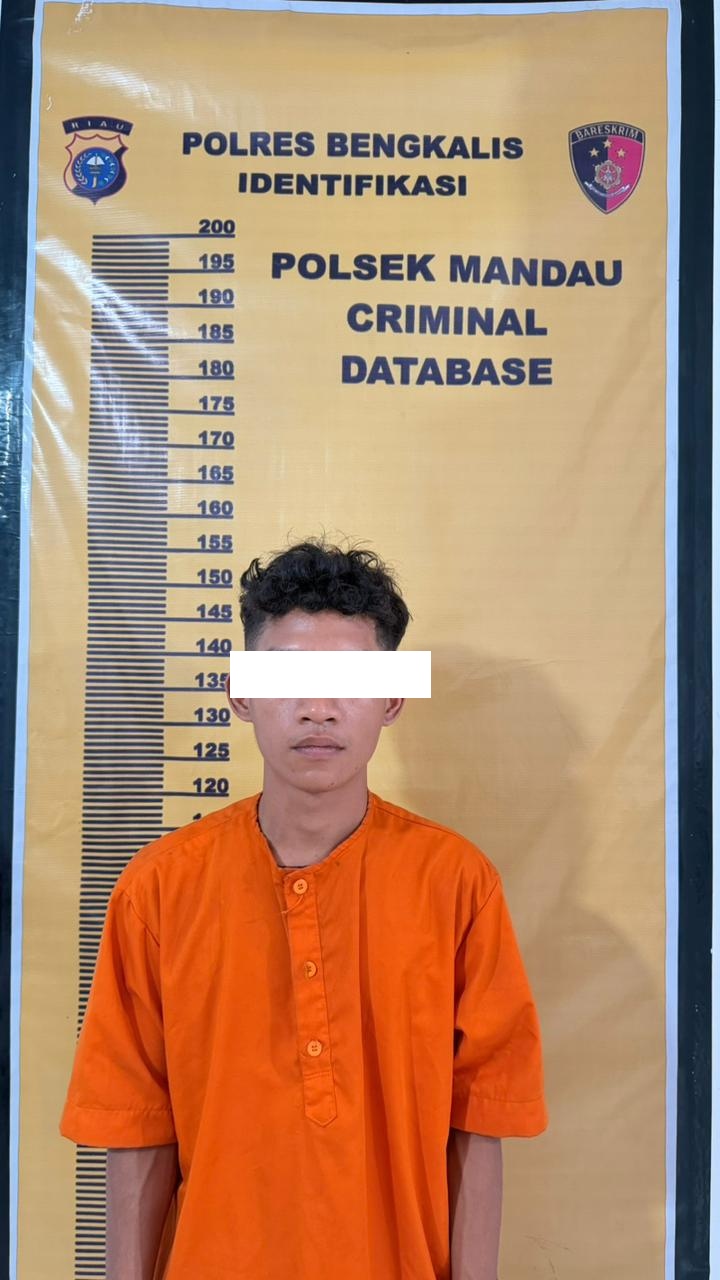 Diduga Menyeret dan Mencakar Korban, RM Diamankan Polsek Mandau