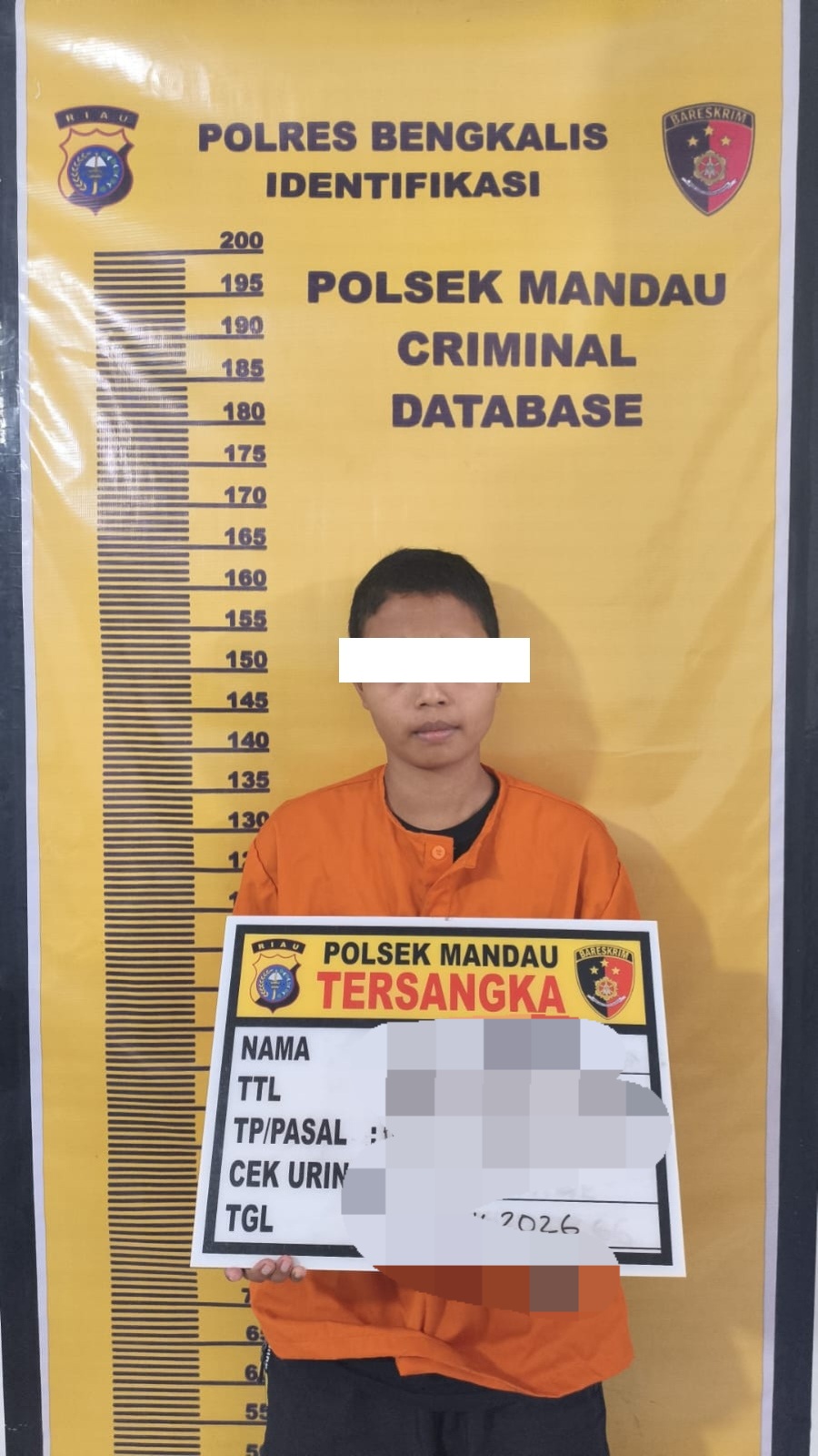 Modus Pinjam, Dua Motor Raib, Wanita di Mandau Ditangkap Polisi