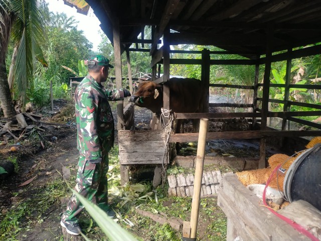 Cegah Penyebaran PMK, Babinsa Koptu Muchsin Laksanakan Patroli di Desa Sungai Meranti
