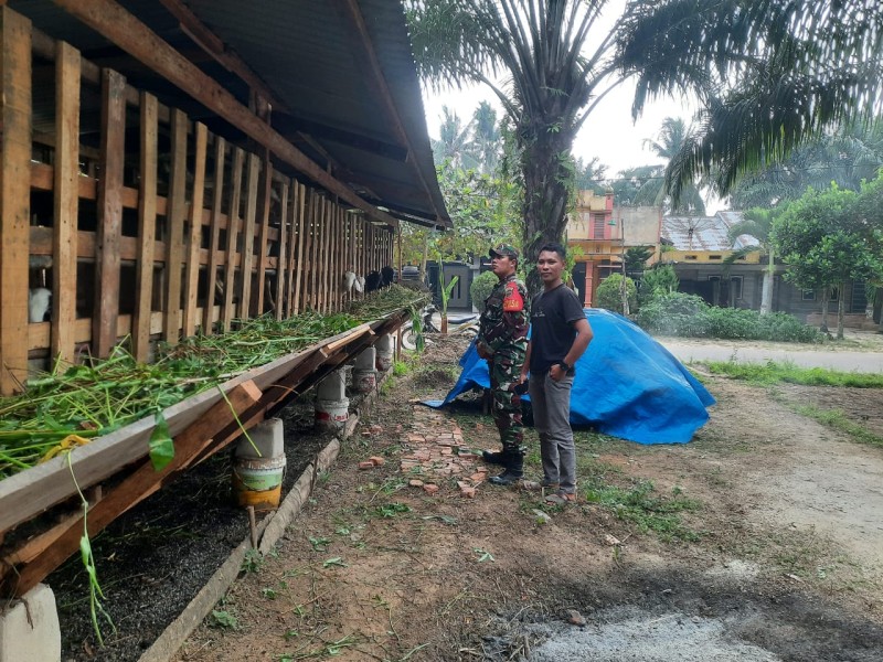 Gencar Laksanakan Pengecekkan Hewan Ternak Sapi, di Jalan Tegal Sari Oleh Praka Alif Alfindo