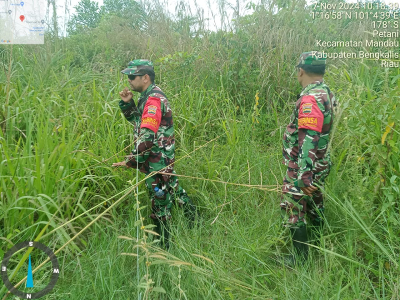 Babinsa Serka N. Saragih, Koptu Muchsin dan Kopda P. Samosir Berpatroli Karhutla di Petani, Bathin Solapan