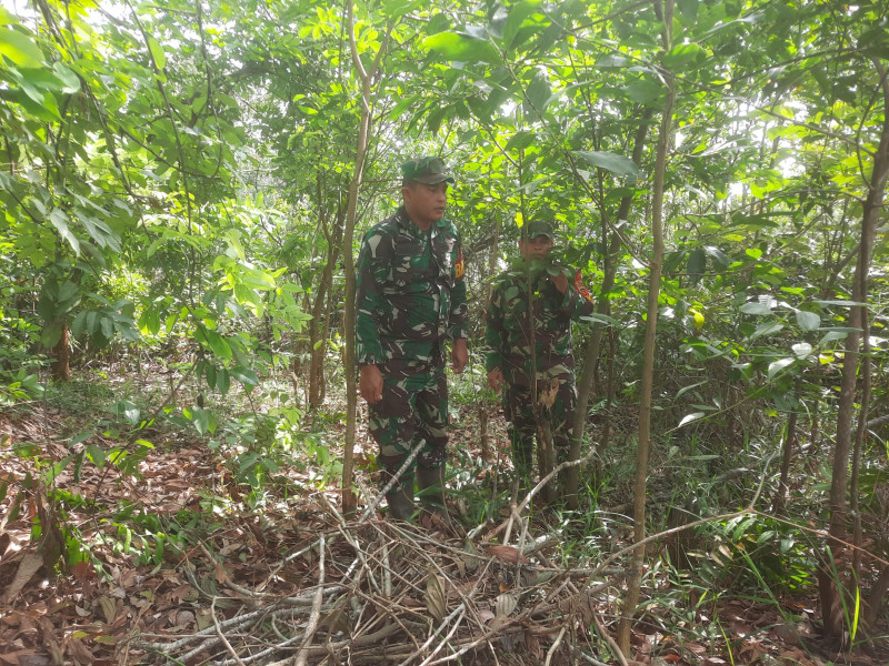 Cegah Karhutla, Babinsa Serda Ahmad Junaidi, Serda Paino dan Serda Z. Panjaitan di Jalan Siak, Desa Petani