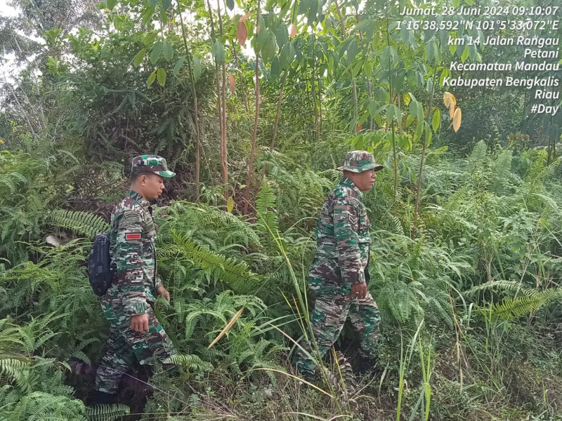 Untuk Mencegah Karhutla, Babinsa Mandau Sertu P. Sinaga, Kopda Yusup, Pratu Kifron di Jalan Rangau