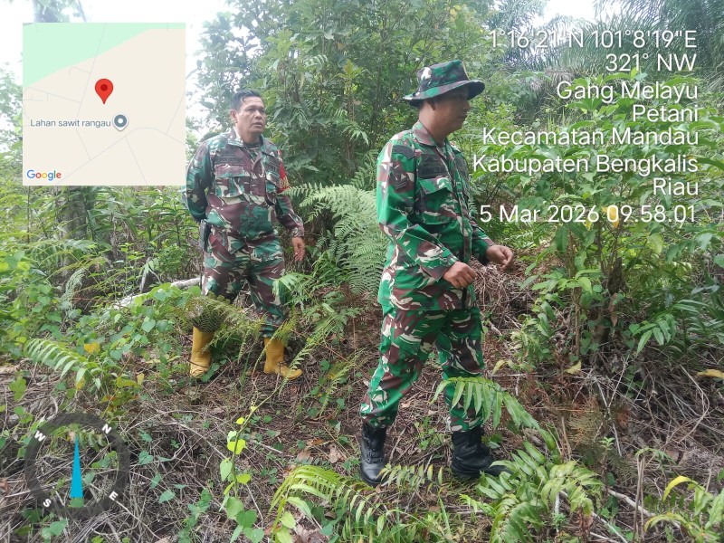 Babinsa Sertu Awaludin, Sertu Fikri, Serda Z.Panjaitan Patroli Karhutla di Pematang Pudu, Mandau