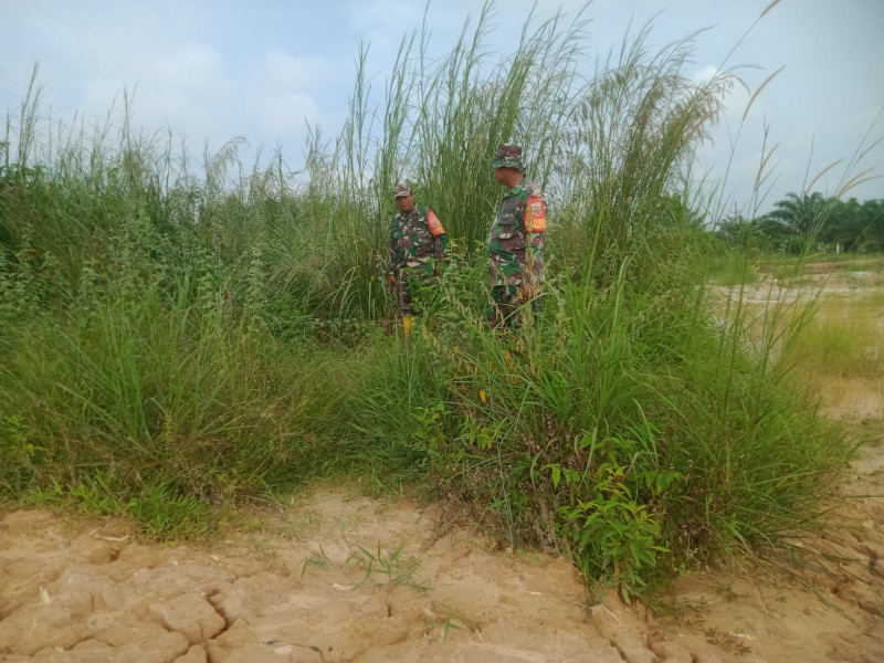 Cegah Karhutla, Babinsa Mandau Sertu Rosdianto dan Serda Paino Laksaksanakan Patroli di Desa Petani