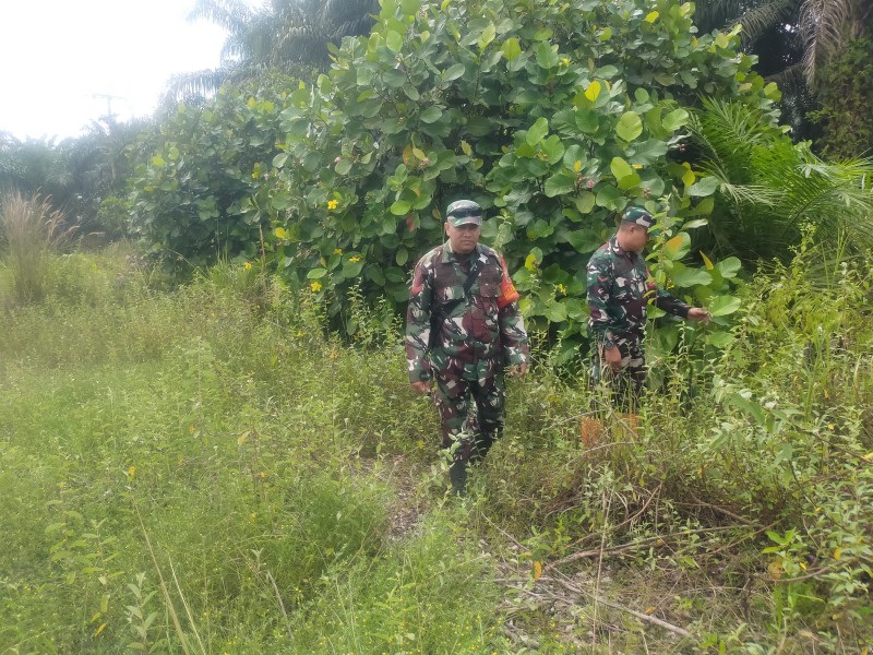 Babinsa Koptu Muksin Khan, Kopda Ade kurniawan Berpatroli Karhutla di Desa Petani, Batsol, Bengkalis