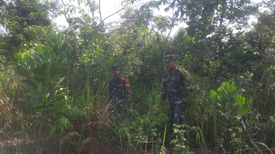 Babinsa Pelda suprapto,  Sertu Ahmad junaidi, Serda zetri penjahitan Patroli Karhutla di jalan Rangau, Desa Petani