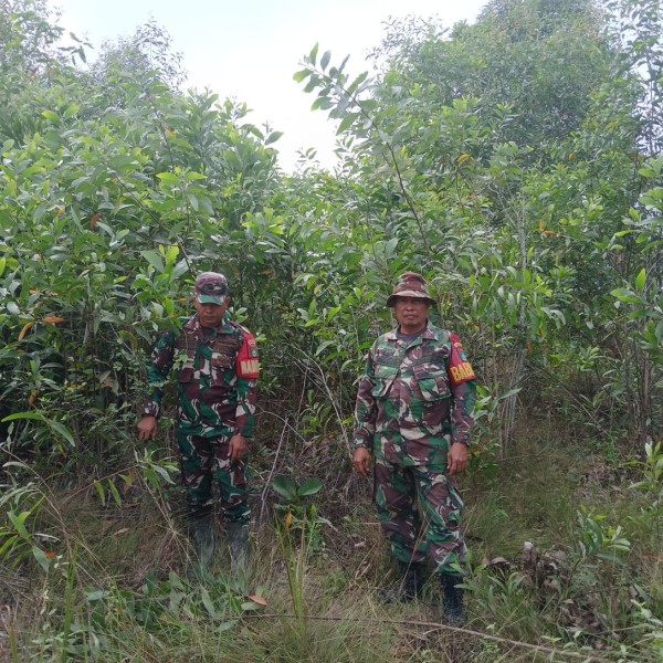 Babinsa Sertu Rosdianto, Serda Zulkarnain Patroli Karhutla di Desa Petani, Bathin Solapan