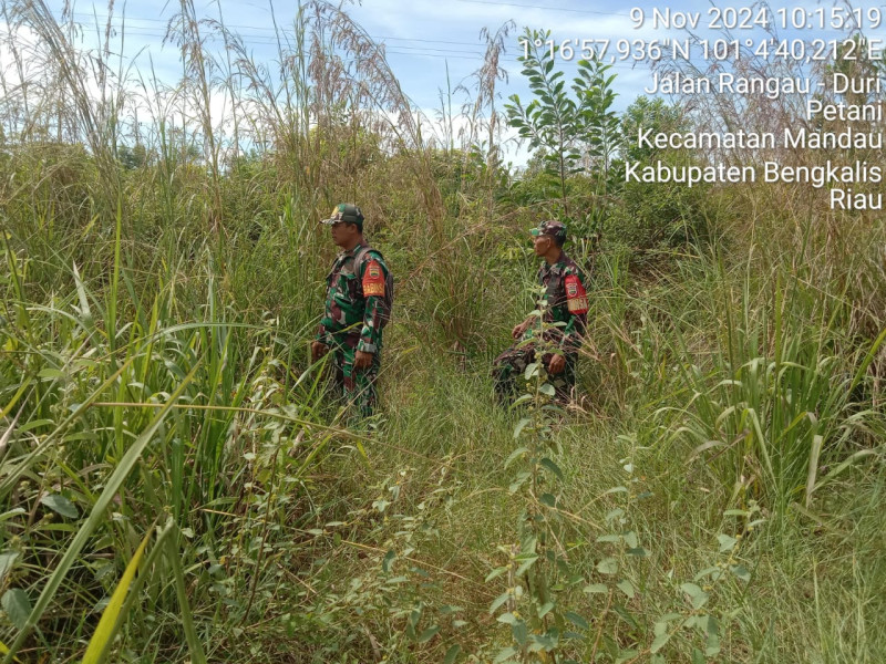 Babinsa Sertu Roby, Serda Ml. Silaban dan Kopda Bambang Berpatroli Karhutla di Petani, Batsol