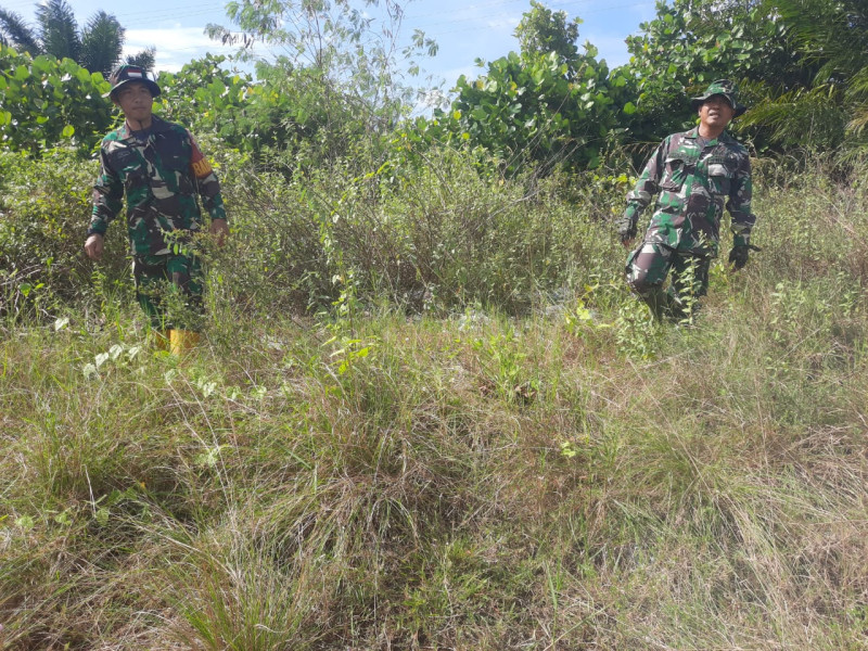 Babinsa Pelda Yulihar, Sertu M. Fikri dan Praka Alif Berpatroli Karhutla di Desa Petani