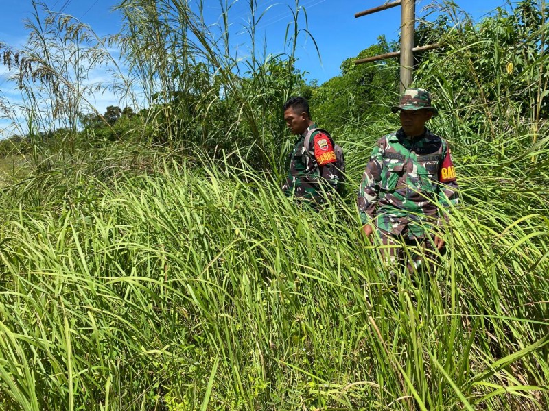 Babinsa Serka SDG Barus, Serka Alinaspi, Koptu Bambang Berpatroli Karhutla di Kelurahan Pematang Pudu, Mandau, Bengkalis