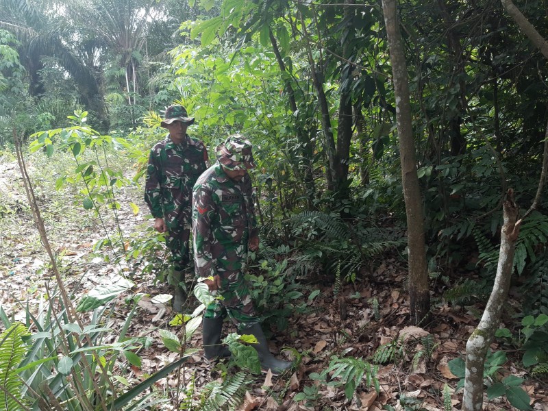 Babinsa Serma N.Saragih, Sertu Sutiman, Koptu Muchsin Patroli Karhutla di Jalan Rangau, Mandau, Bengkalis