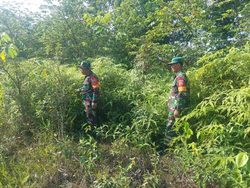 Babinsa Koramil 03/Mandau Serda D. Simanjuntak dan Koptu Ml. Silaban, terus Laksanakan Patroli Karhuta di Wilayah Desa Balai Makam