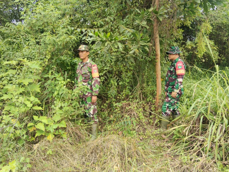 Babinsa Serda D.Simanjuntak, Koptu Samosir Patroli Karhutla di Jalan Rangau, Desa Petani, Bathin Solapan, Bengkalis