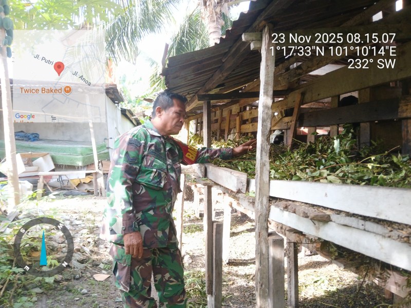 Babinsa Sertu Rosdianto., Lakukan Cek Hewan Ternak Kambing Antisipasi Penyakit PMK, di Tambusai Batang Dui