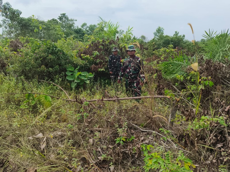 Babinsa Serka Alinasfi, Serka Roy P. , Kopda Ade kurniawan Berpatroli Karhutla di kelurahan Pematang Pudu, Kecamatan Mandau