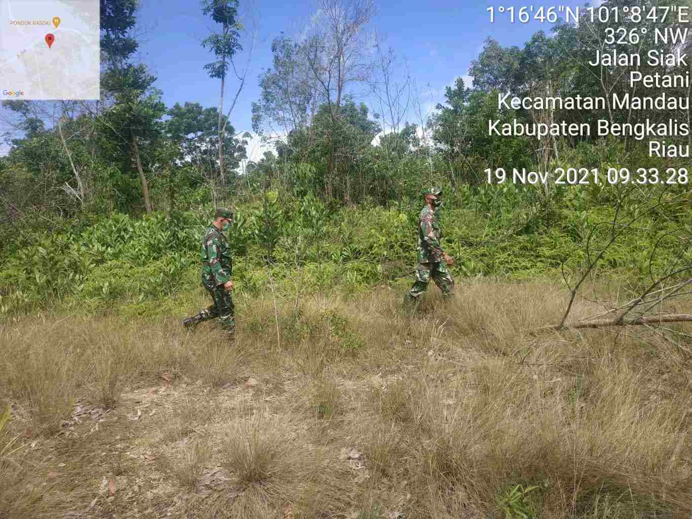 Sertu Robbi dan Serda Tiopan A. Silaban Laksanakan Patroli Karhutla di Desa  Petani