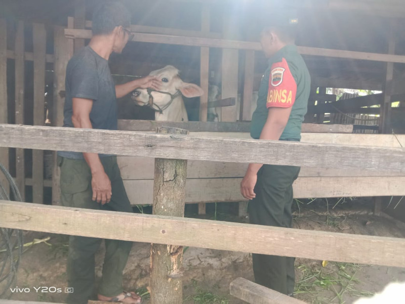 Babinsa Kopda Yusup Laksanakan Pengecekkan Hewan Ternak di Duri Timur