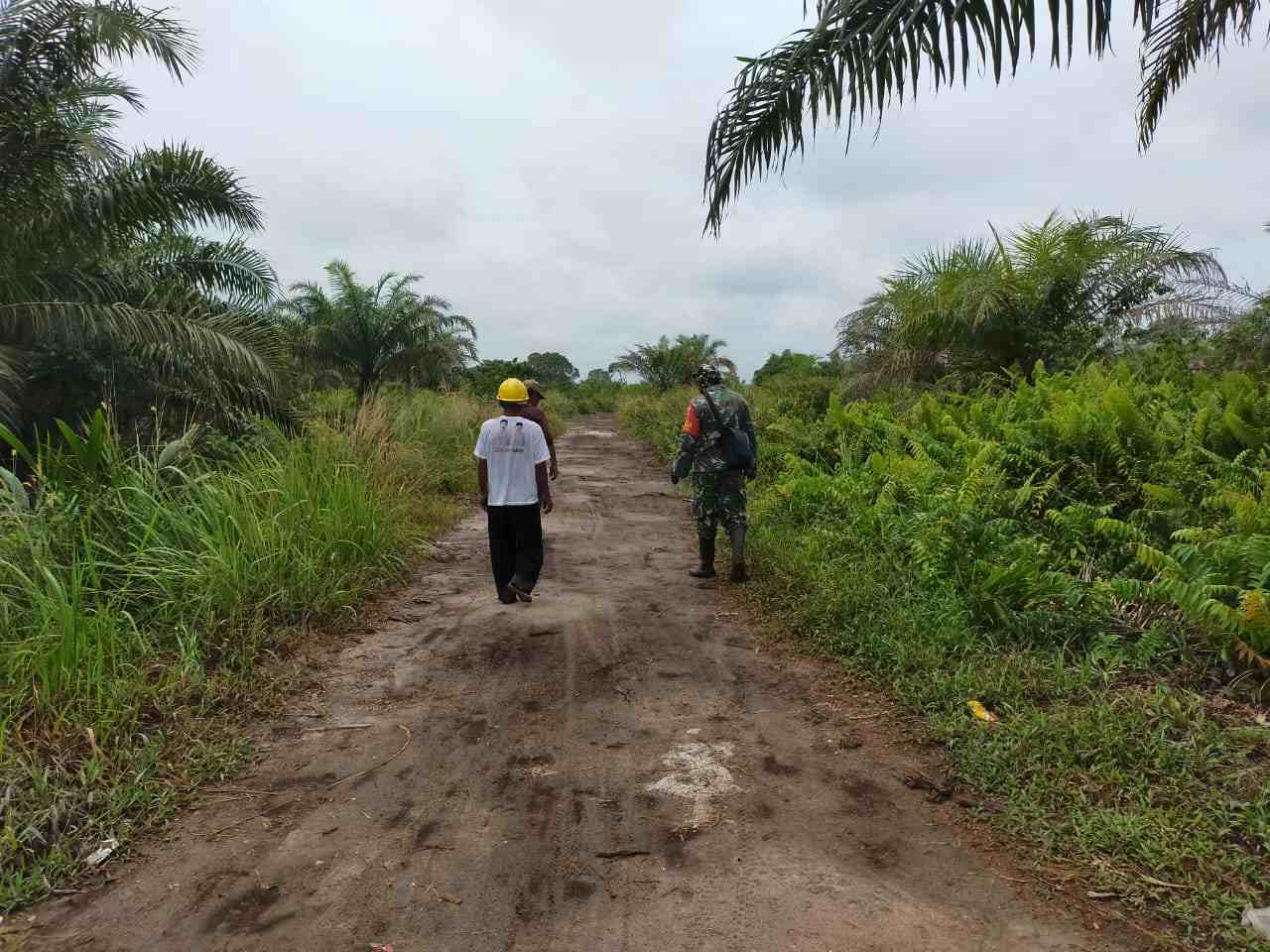 Kopda Muchsin laksanakan Patroli Karhutla di Dess Sungai Meranti