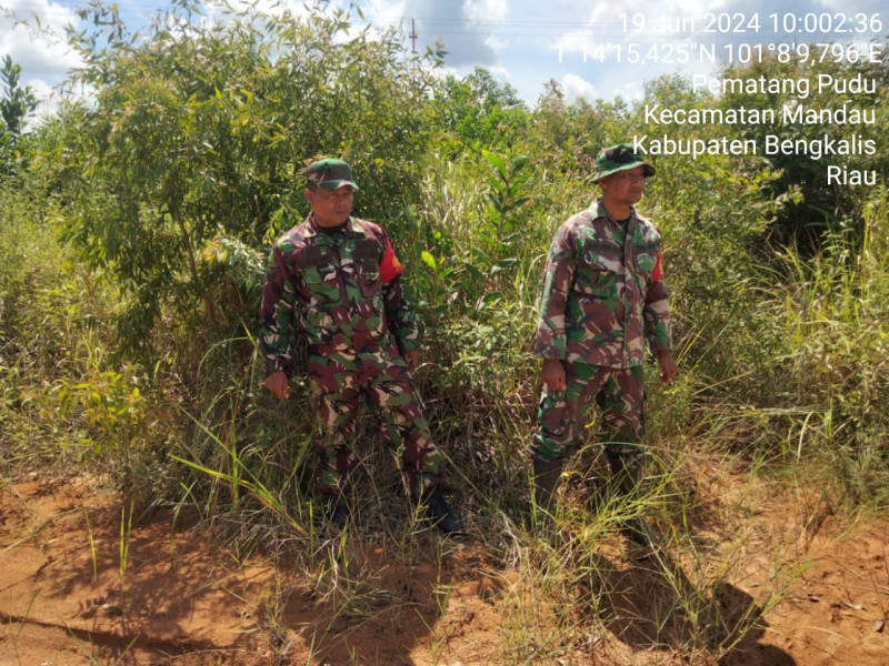 Untuk Mencegah Karhutla, Babinsa Mandau Pelda Sutrisno, Serka N. Saragih, Sertu Agung di Pematang Pudu