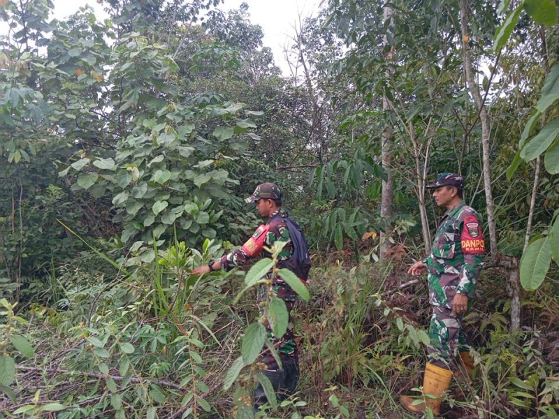 Babinsa Pelda Suprapto, Praka Indro Sinaga, Pratu Daniel Simanungkalit Patroli Karhutla di Pematang Pudu, Mandau, Bengkalis
