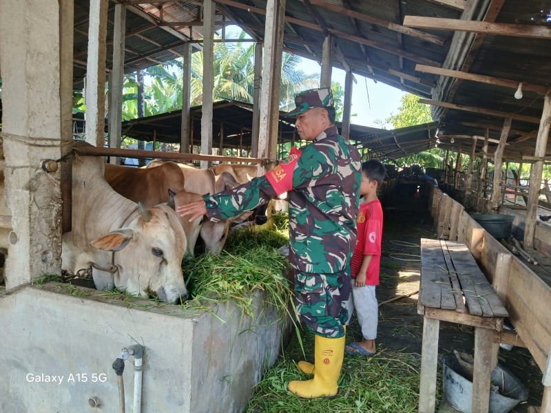 Gencar Laksanakan Pengecekkan Hewan Ternak Sapi, di Kelurahan Air Jamban, Kecamatan Mandau, Oleh Sertu Rosdianto